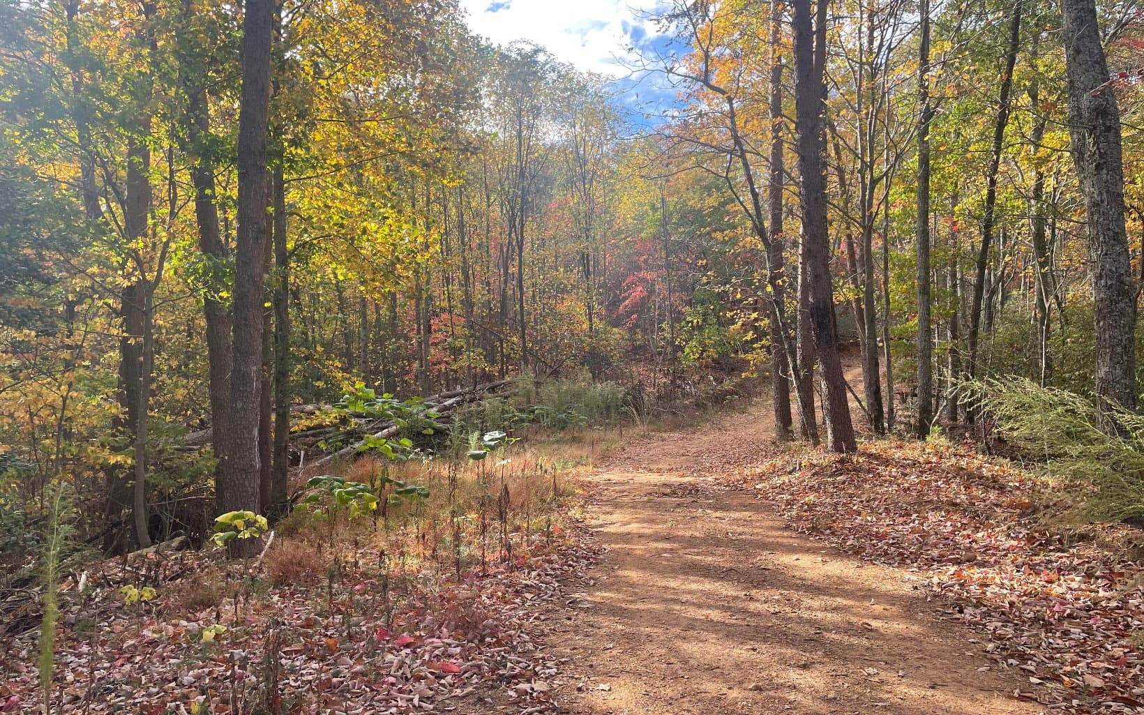 00 Firetower Road, Jasper GA 30143 - Photo
