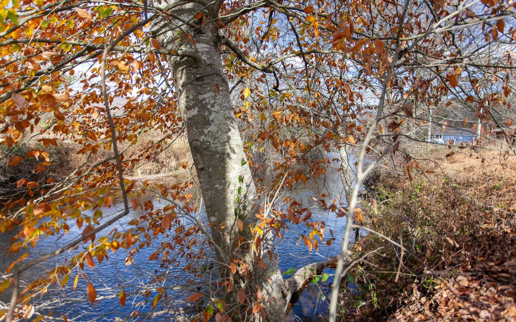 00 Leaping Trout Run, Marble NC 28905 - Photo