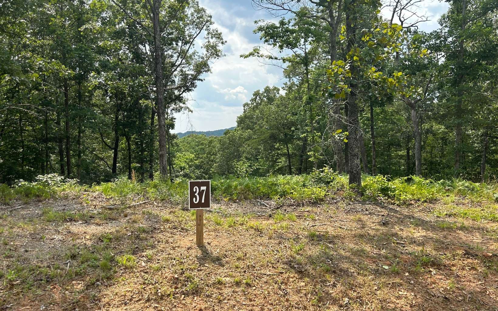 37 Blalock Mountain Road, Ellijay GA 30540 - Photo