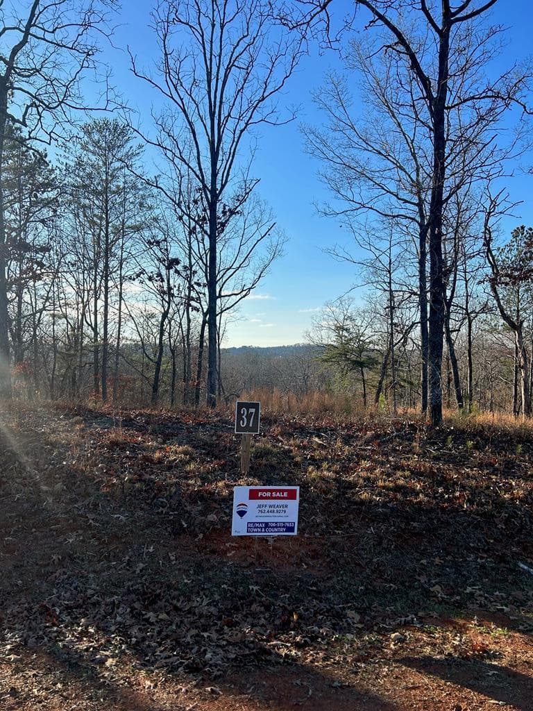 37 Blalock Mountain Road, Ellijay GA 30540 - Photo