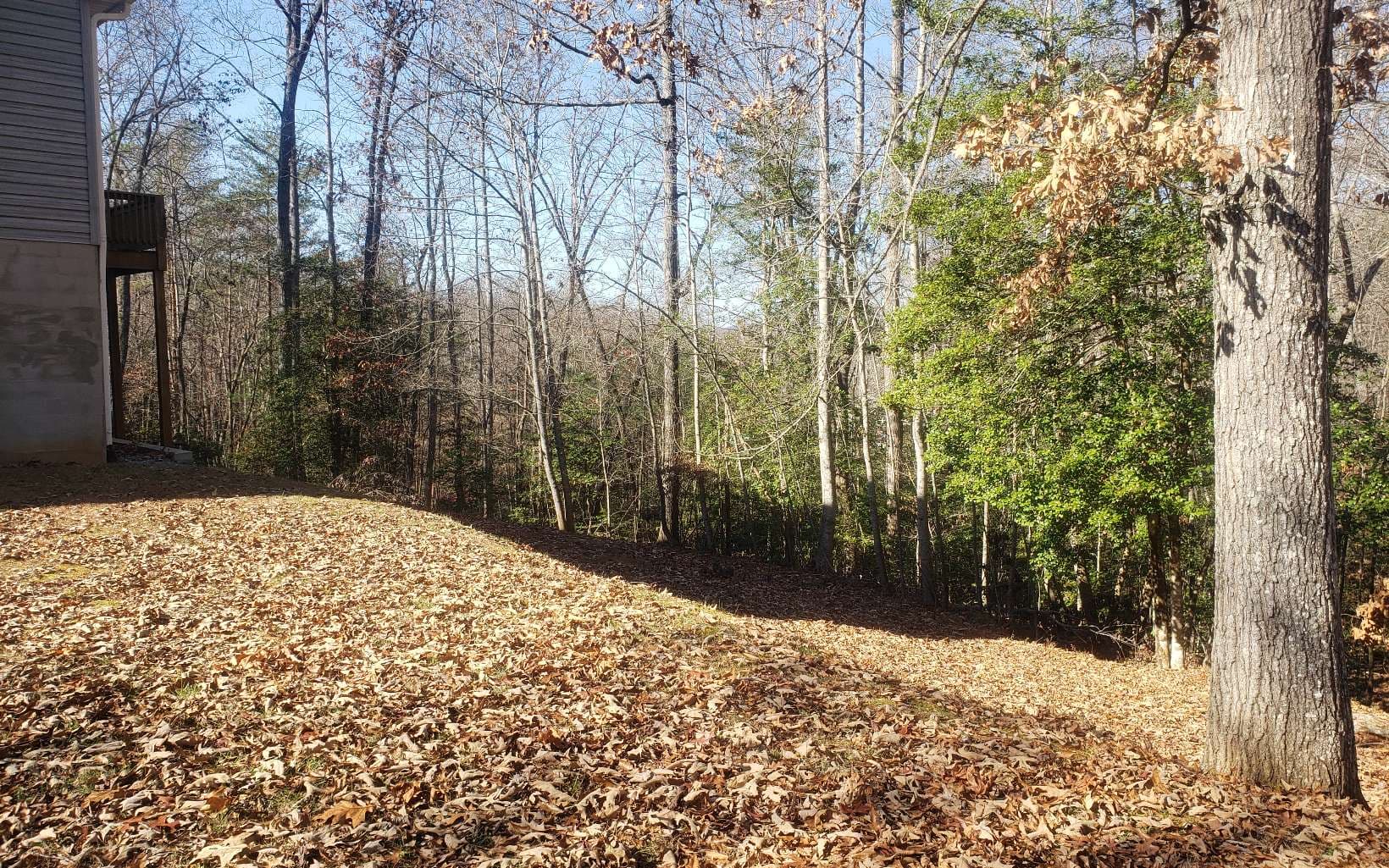 85 Mccracken Cove Road, Hayesville NC 28904 - Photo