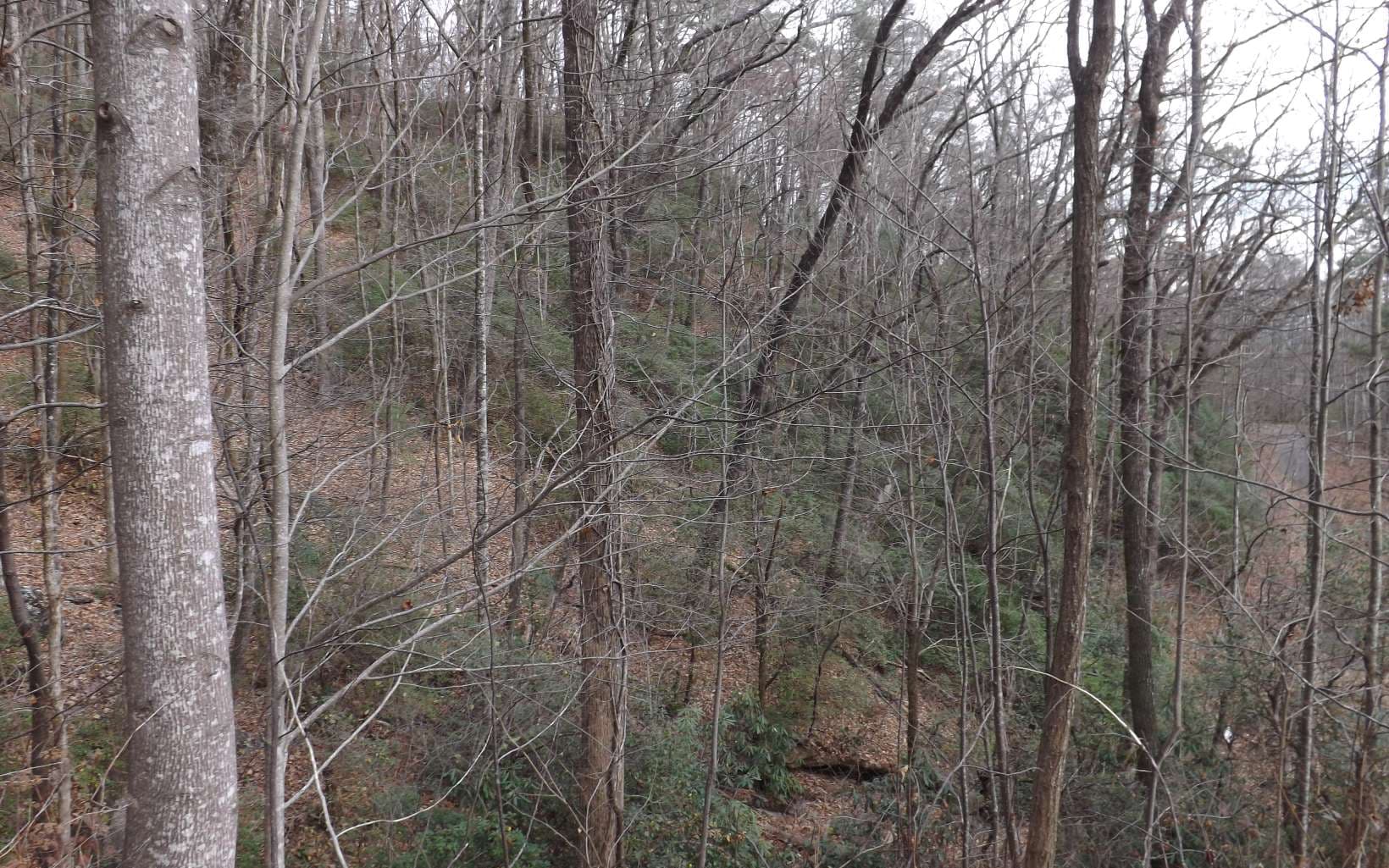 Eastview Eastview Lane- Lot M, Clayton GA 30525 - Photo