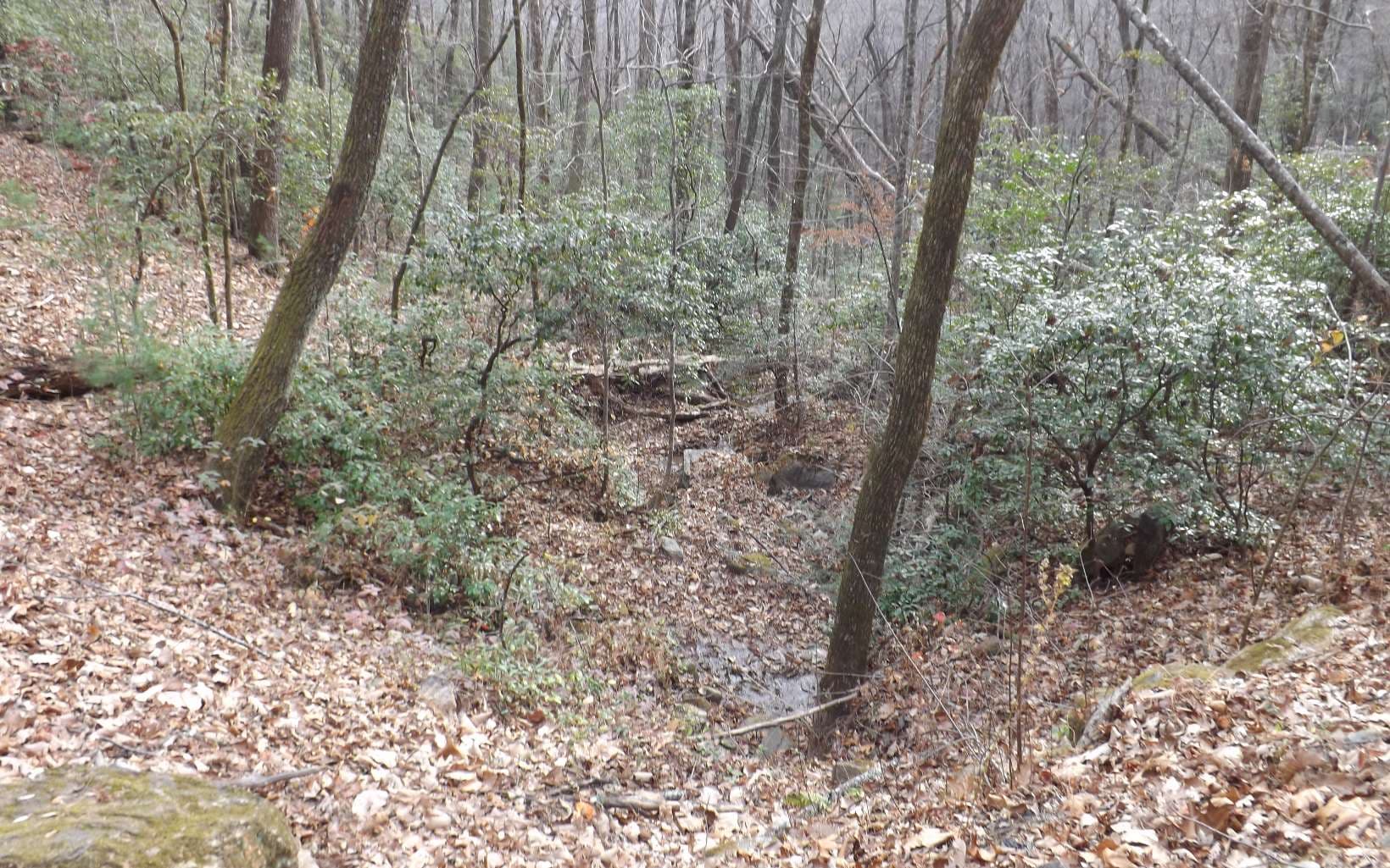 Eastview Eastview Lane- Lot M, Clayton GA 30525 - Photo