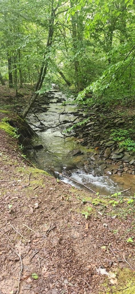 LT175 Trailwood Drive, Ellijay GA 30536 - Photo