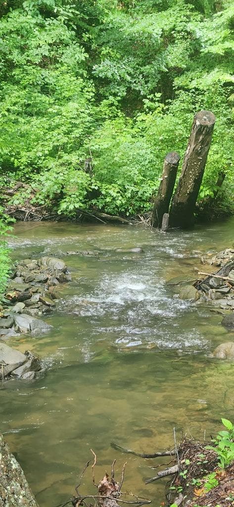 LT175 Trailwood Drive, Ellijay GA 30536 - Photo