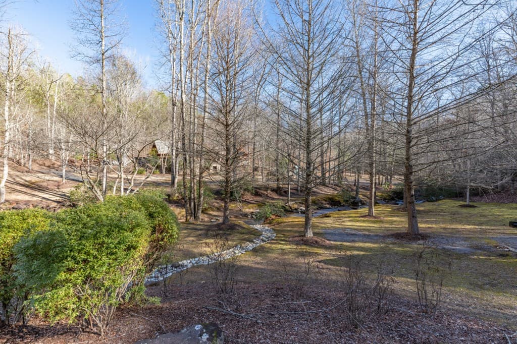 Lot 50 Tranquility @ Carters Lake, Ellijay GA 30540 - Photo