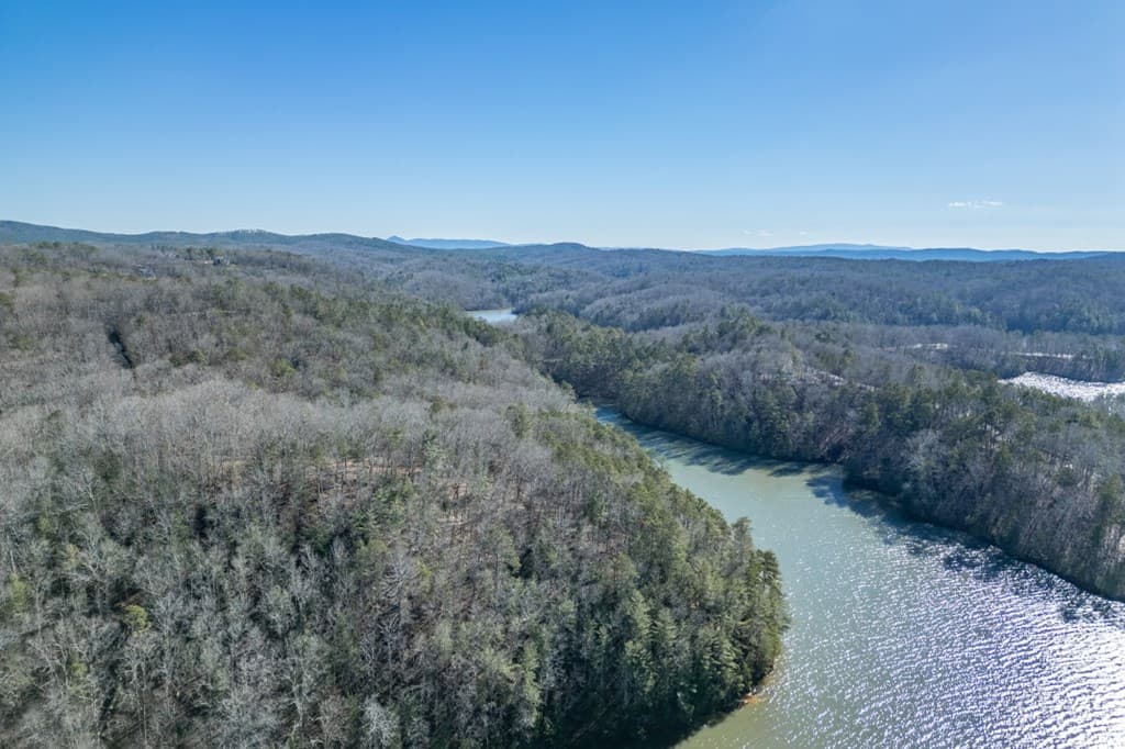 Lot 50 Tranquility @ Carters Lake, Ellijay GA 30540 - Photo