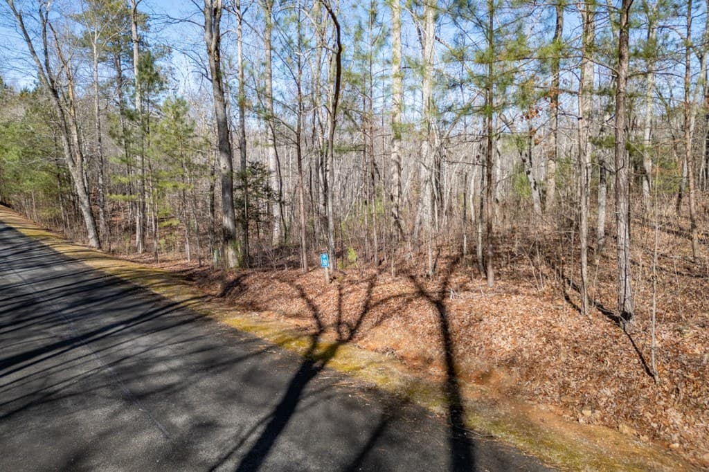 Lot 50 Tranquility @ Carters Lake, Ellijay GA 30540 - Photo