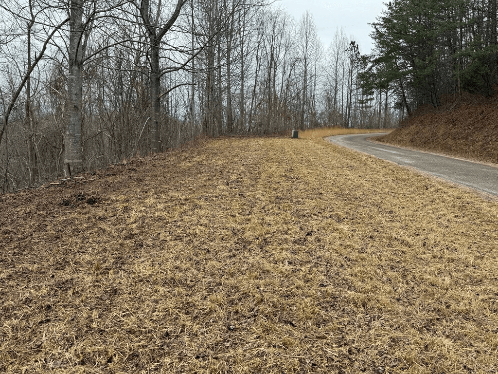Lot 10 Chatuge Manor Drive, Young Harris GA 30582 - Photo