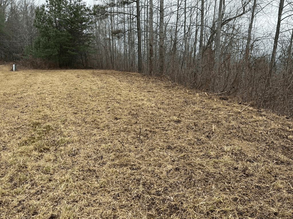 Lot 10 Chatuge Manor Drive, Young Harris GA 30582 - Photo