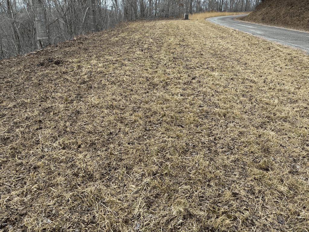 Lot 10 Chatuge Manor Drive, Young Harris GA 30582 - Photo