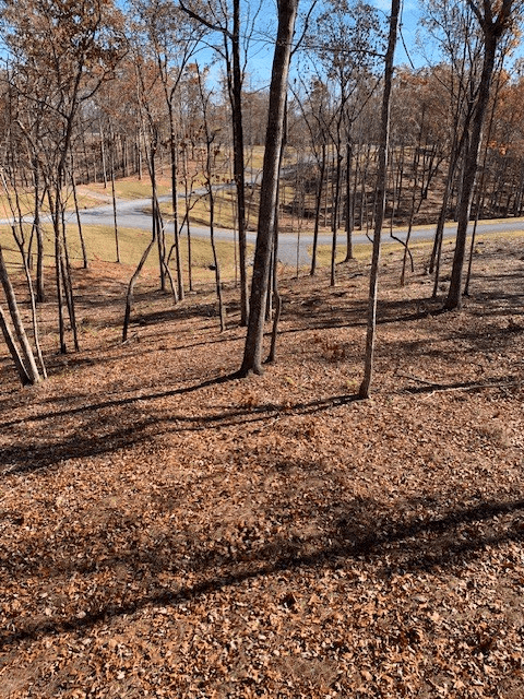 Lot #6 Lake Top, Ellijay GA 30540 - Photo