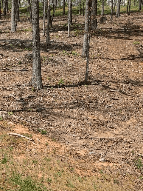 Lot #6 Lake Top, Ellijay GA 30540 - Photo