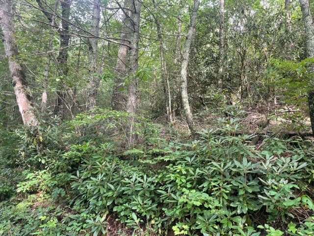 10.61 E Charlies Creek Road, Hiawassee GA 30546 - Photo