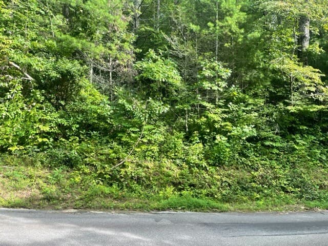 10.61 E Charlies Creek Road, Hiawassee GA 30546 - Photo
