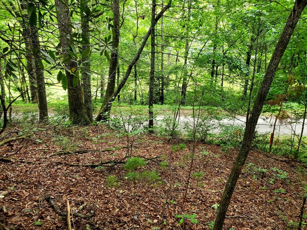 10.61 E Charlies Creek Road, Hiawassee GA 30546 - Primary photo