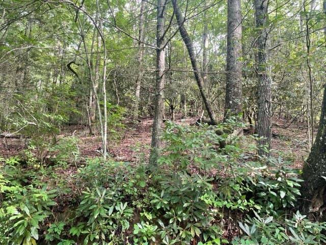 10.61 E Charlies Creek Road, Hiawassee GA 30546 - Photo