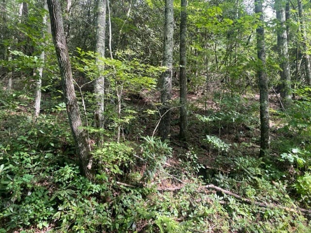 10.61 E Charlies Creek Road, Hiawassee GA 30546 - Photo