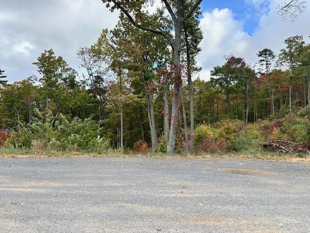 Lot 173 Shagbark Court, Ellijay GA 30541 - Photo