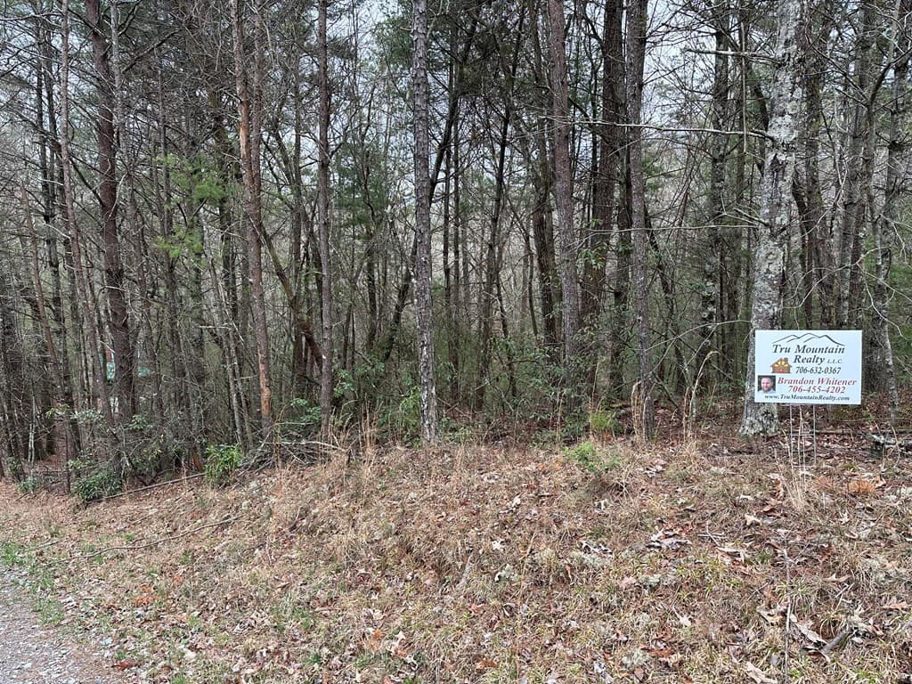0 Graham Court, Ellijay GA 30540 - Photo