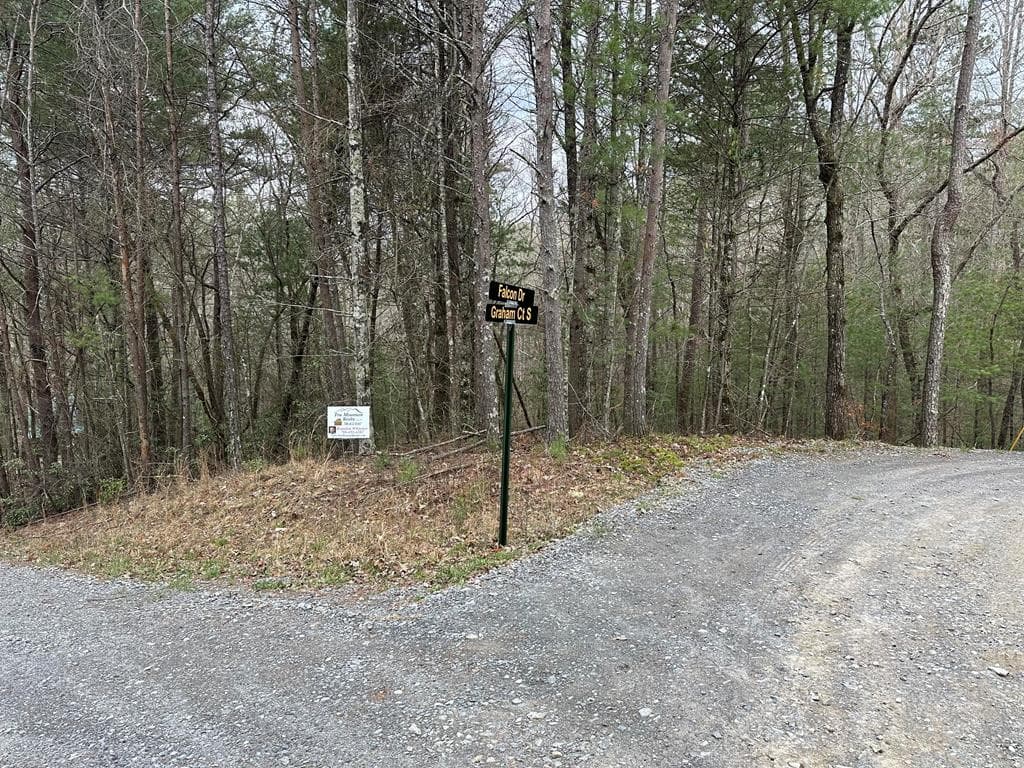 0 Graham Court, Ellijay GA 30540 - Primary photo