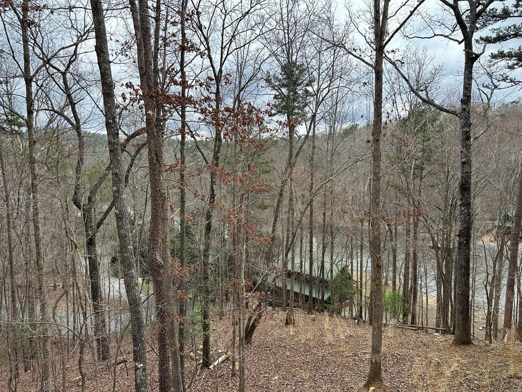 0 Dawn Court, Ellijay GA 30540 - Photo