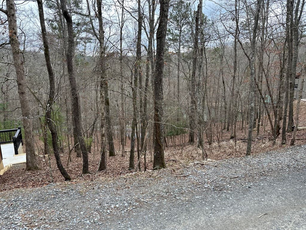 0 Dawn Court, Ellijay GA 30540 - Photo