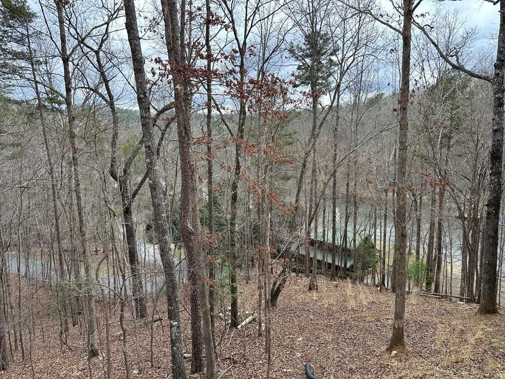 0 Dawn Court, Ellijay GA 30540 - Photo