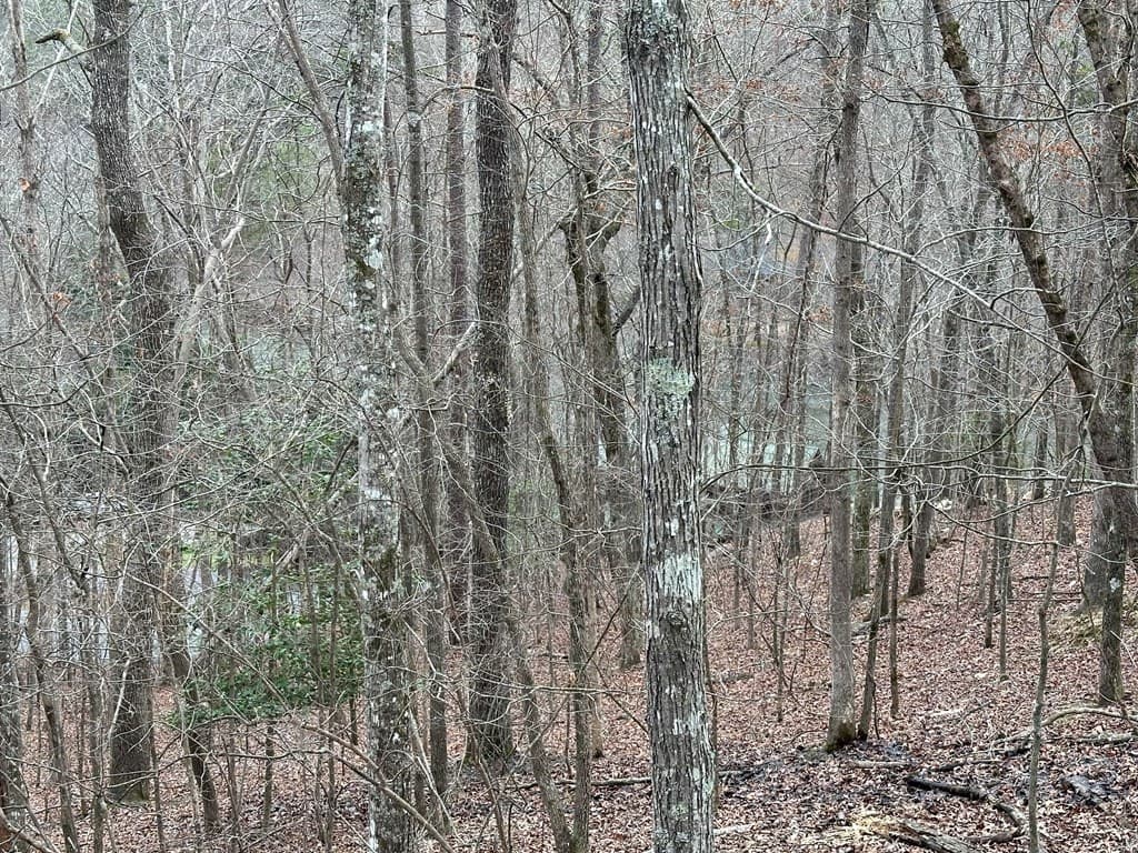 0 Dawn Court, Ellijay GA 30540 - Photo