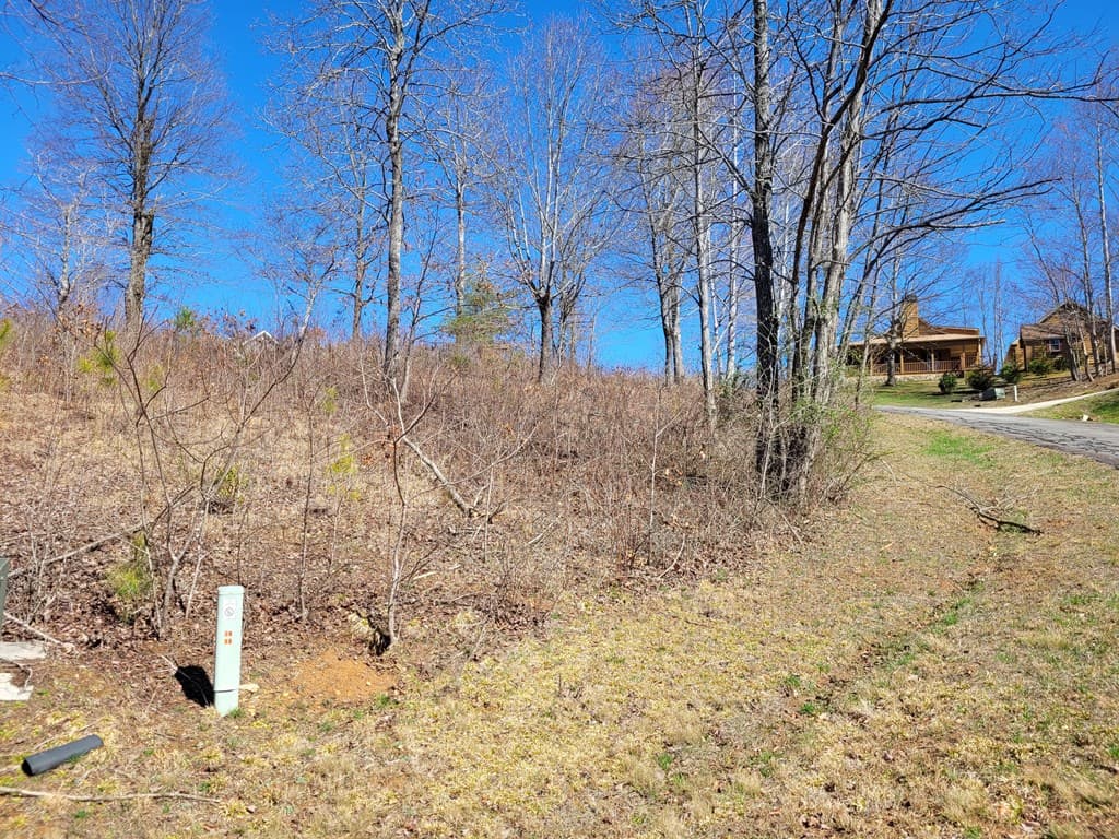 Lot 25 Dan Knob Drive, Hayesville NC 28904 - Photo