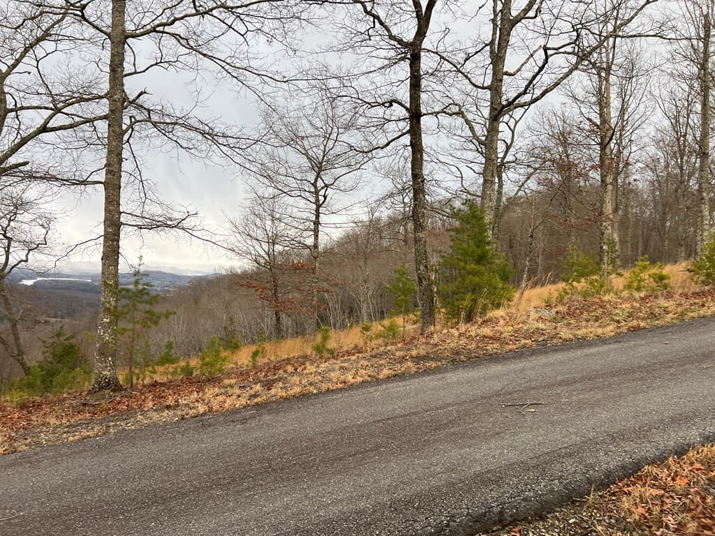 Lot 137 Shiloh, Hayesville NC 28904 - Photo