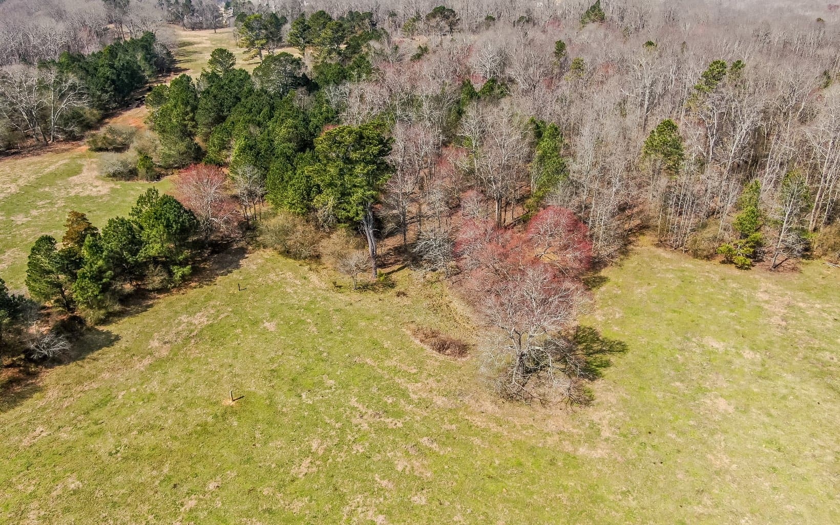 27.55 AC Bannister Road, Cumming GA 30028 - Photo