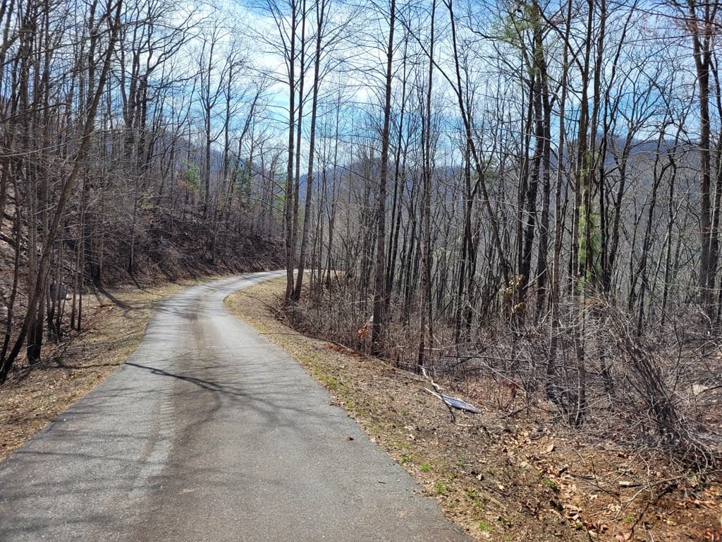 14 Flaming Ridge, Hayesville NC 28904 - Photo