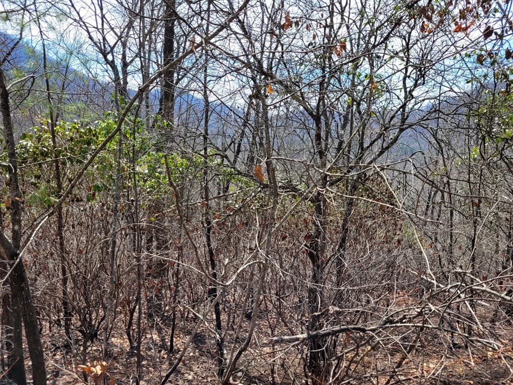 14 Flaming Ridge, Hayesville NC 28904 - Photo