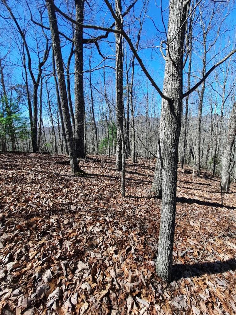 Lot # 7 Quail Run Ridge, Murphy NC 28906 - Photo