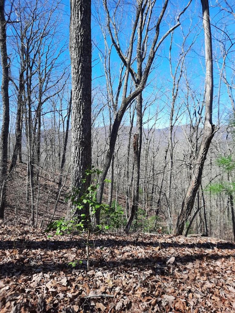 Lot # 7 Quail Run Ridge, Murphy NC 28906 - Photo