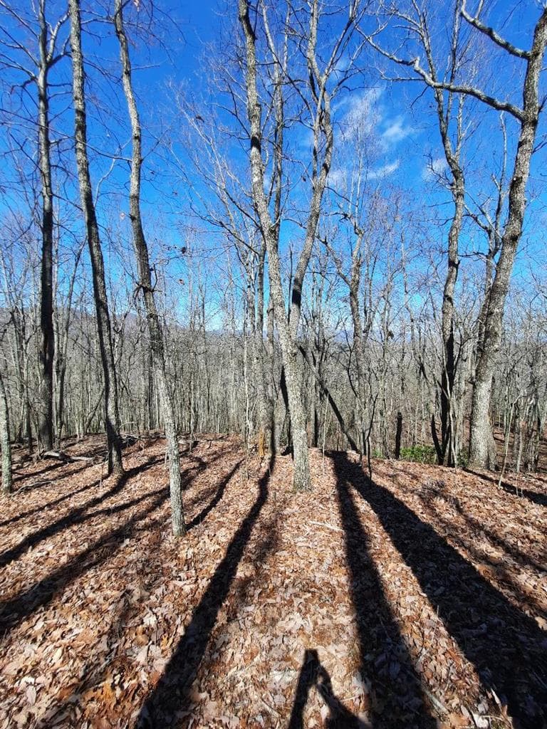 Lot # 7 Quail Run Ridge, Murphy NC 28906 - Photo