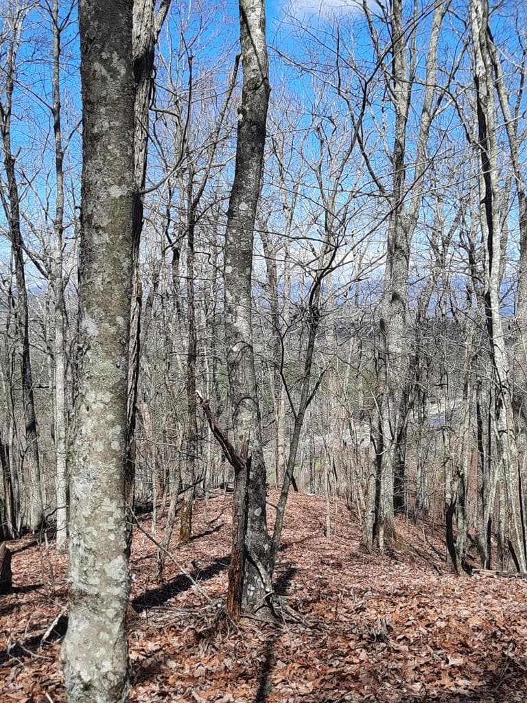Lot # 7 Quail Run Ridge, Murphy NC 28906 - Photo