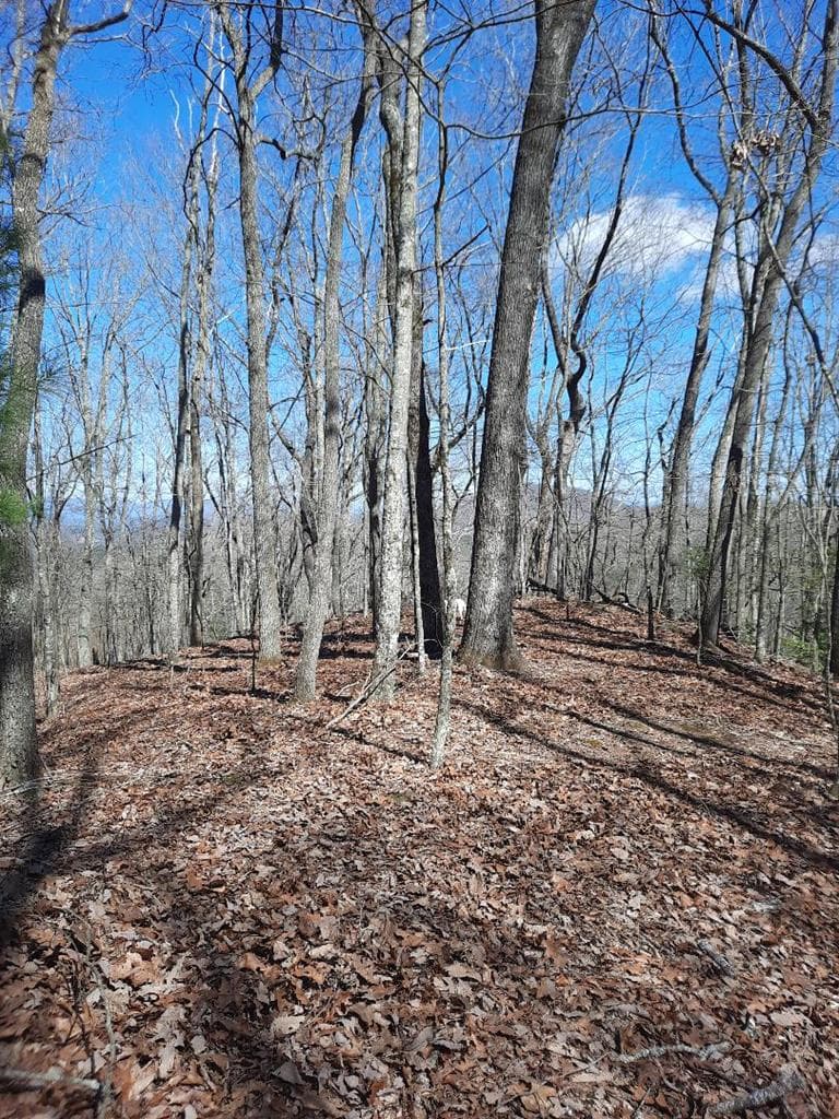 Lot # 7 Quail Run Ridge, Murphy NC 28906 - Photo