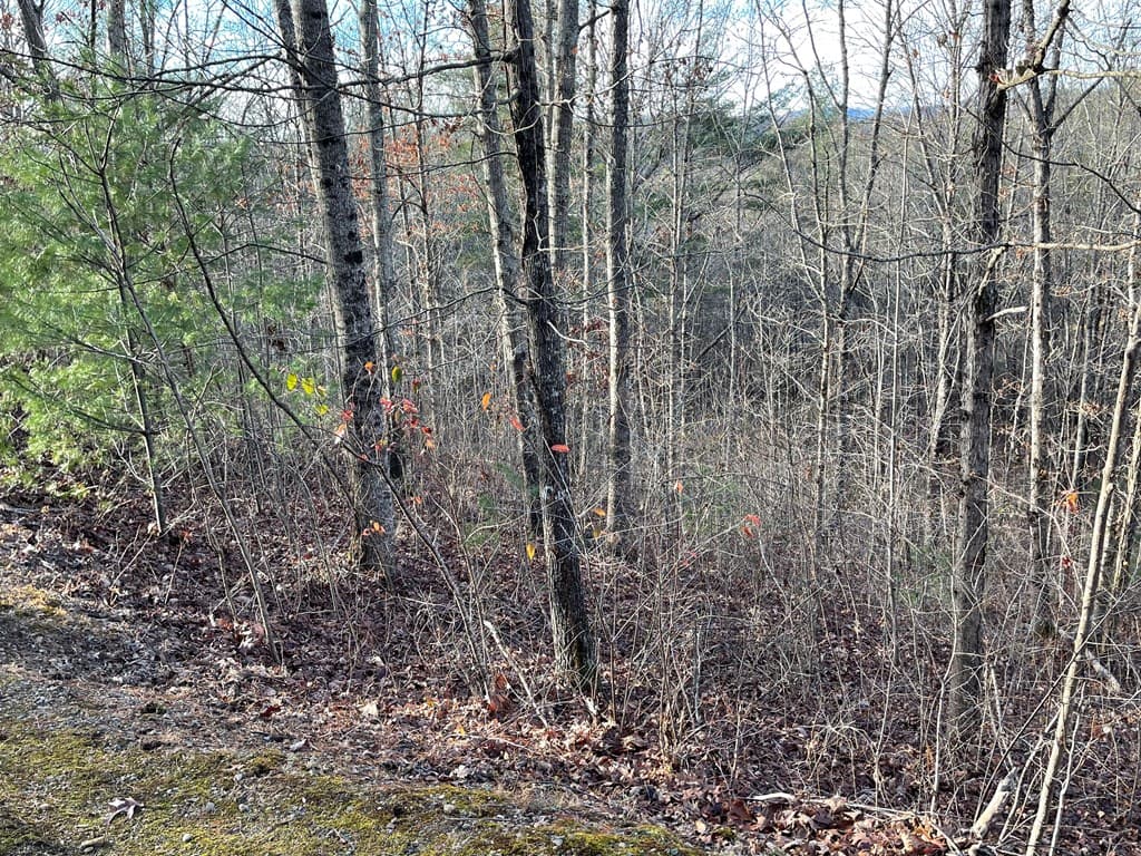 Lot 59C Mountain Harbour Lot, Hayesville NC 28904 - Photo