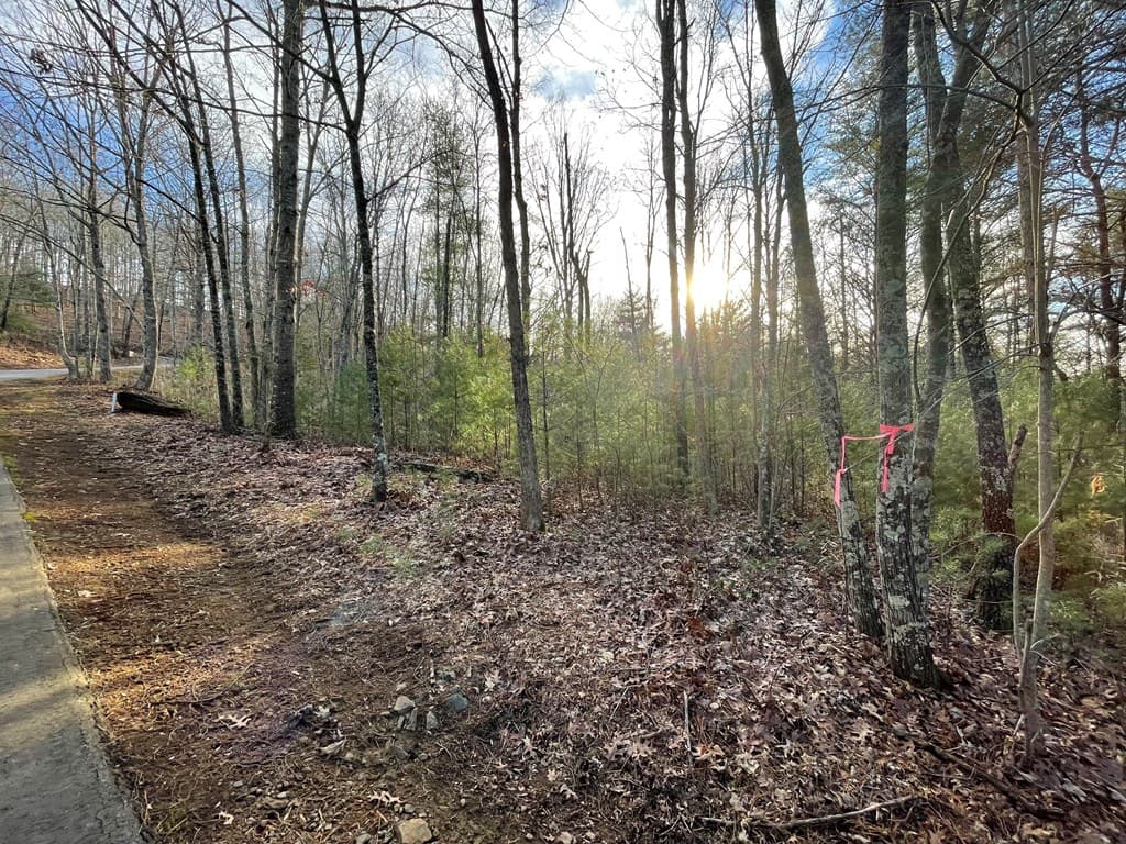 Lot 59C Mountain Harbour Lot, Hayesville NC 28904 - Photo