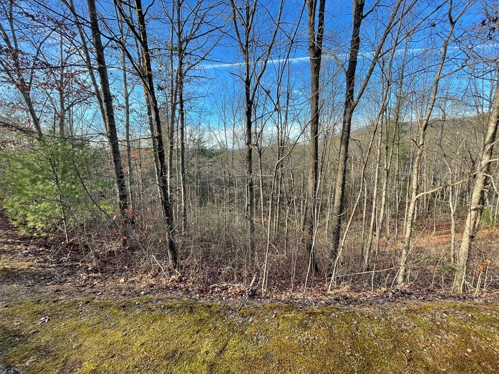 Lot 59C Mountain Harbour Lot, Hayesville NC 28904 - Photo
