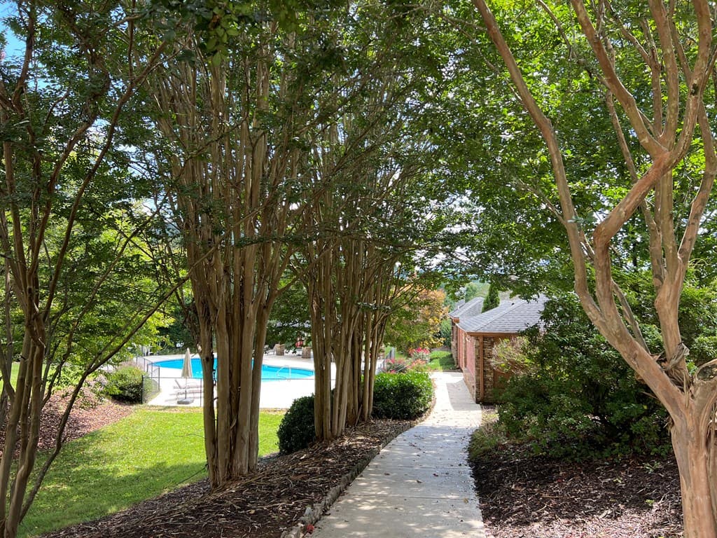 Lot 59C Mountain Harbour Lot, Hayesville NC 28904 - Photo