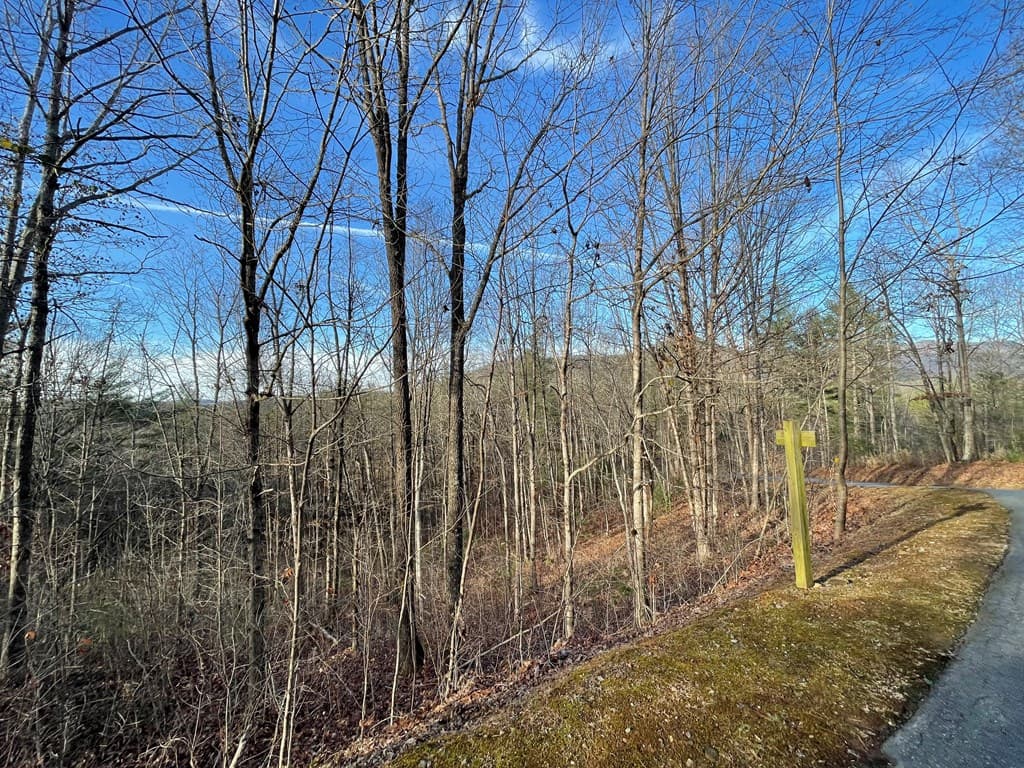 Lot 59C Mountain Harbour Lot, Hayesville NC 28904 - Photo
