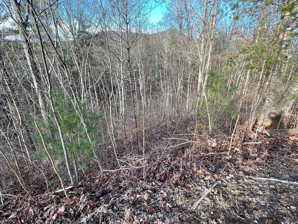 Lot 59C Mountain Harbour Lot, Hayesville NC 28904 - Photo