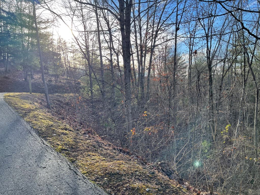 Lot 59C Mountain Harbour Lot, Hayesville NC 28904 - Photo