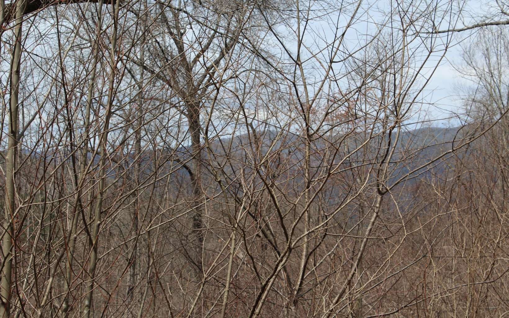 21 N Ridge High Meadows, Hayesville NC 28904 - Photo