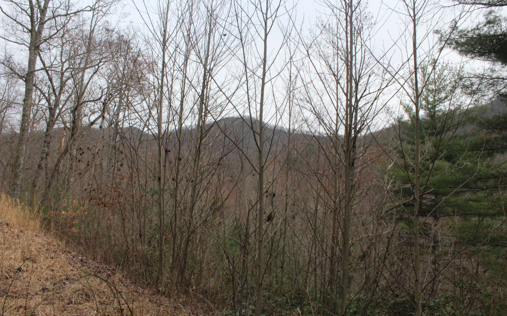 21 N Ridge High Meadows, Hayesville NC 28904 - Photo