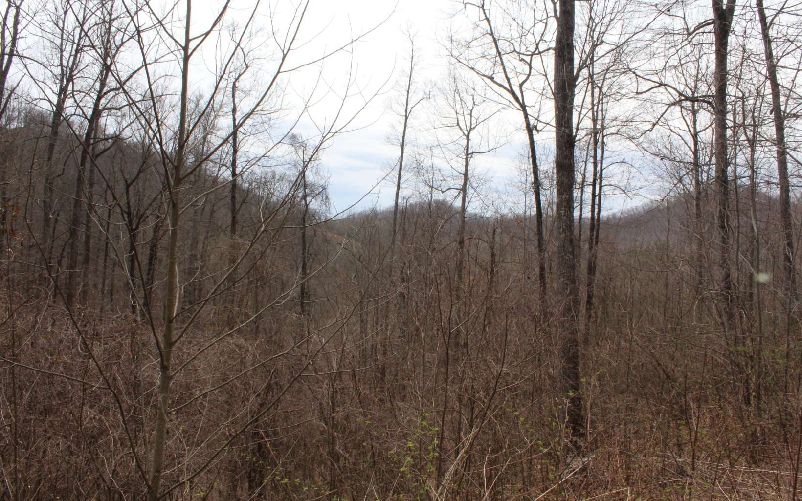 21 N Ridge High Meadows, Hayesville NC 28904 - Photo