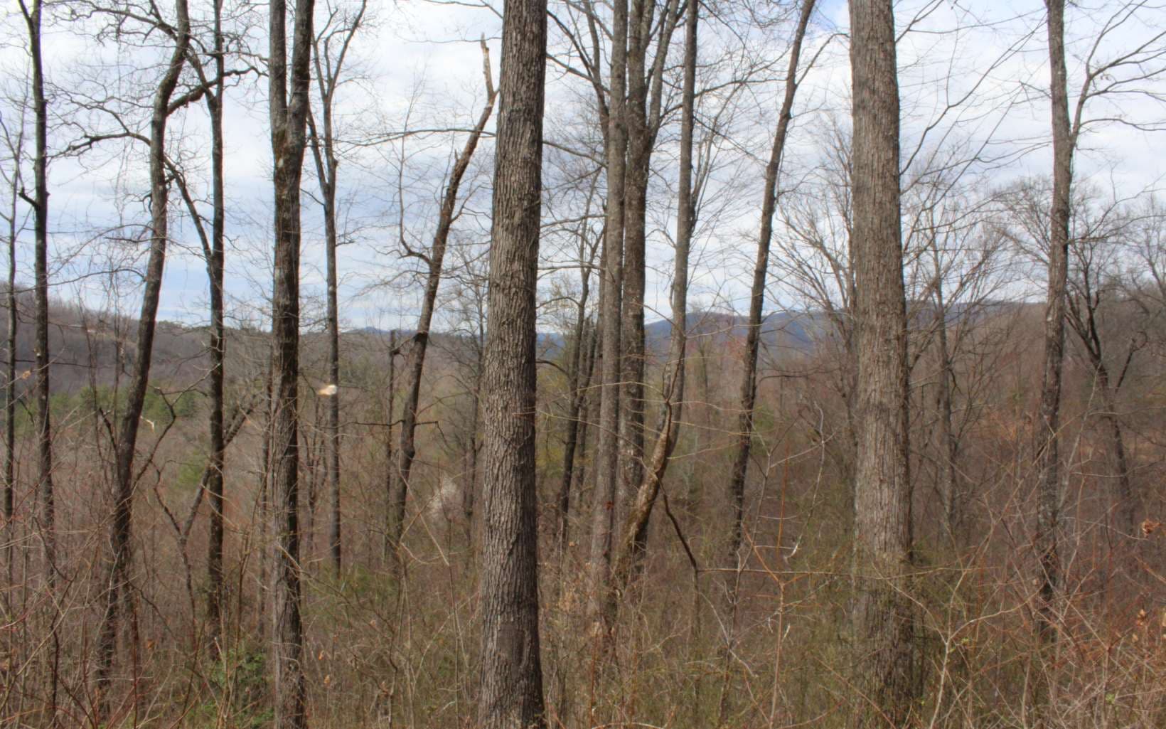 21 N Ridge High Meadows, Hayesville NC 28904 - Photo